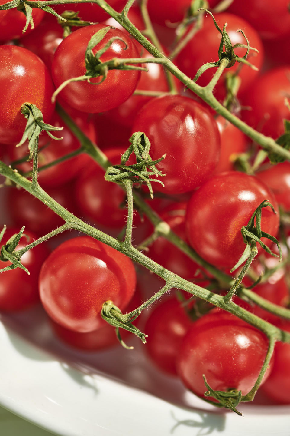 Cherry tomatoes appear on the vine in New York in May, 2021. Signing up for a Community-Supported Agriculture program means getting a box of produce from local farms every week or two. It's a great way to take advantage of summer's bounty, discover new fruits and vegetables, and support the folks who grow food in your area. (Cheyenne Cohen via AP)