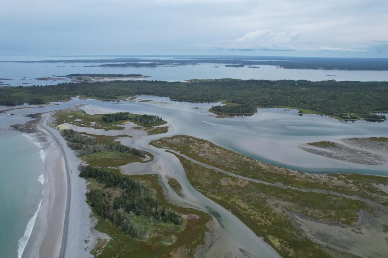 Parks Canada says it's still exploring the proposed marine and land-based conservation plan called Pemsik, but it is sending positive signals about it.  (Submitted by Pemsik - image credit)