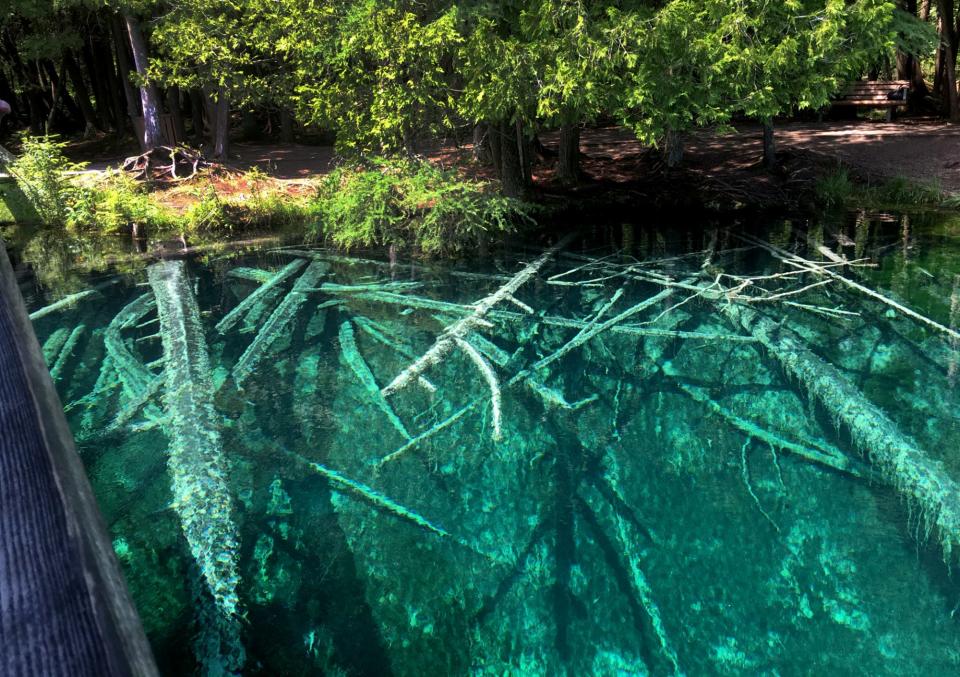 Submerged branches are visible in the clear, blue waters of Kitch-iti-kipi in Manistique on July 10, 2017.