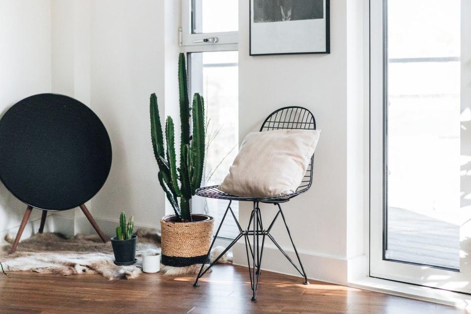 <p>Most cacti only need to be watered about once a week, which is perfect if you tend to be forgetful. And while you can find many floor options, there are a slew of tabletop plants that are ideal for small spaces. <br><br><a class="link " href="https://go.redirectingat.com?id=74968X1596630&url=https%3A%2F%2Fwww.etsy.com%2Flisting%2F810623987%2Fcactus-in-35-inch-pot-assortment-of&sref=https%3A%2F%2Fwww.goodhousekeeping.com%2Fhome%2Fgardening%2Fg32490113%2Fbest-aesthetic-plants%2F" rel="nofollow noopener" target="_blank" data-ylk="slk:SHOP NOW;elm:context_link;itc:0;sec:content-canvas">SHOP NOW</a></p>