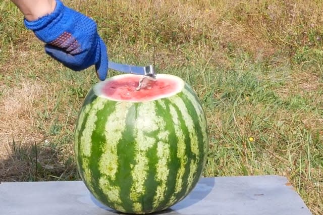 Watch what happens if you put sodium inside a watermelon