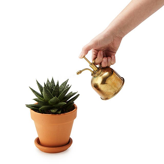 Credit: <a href="https://go.skimresources.com?id=76112X1604401&xs=1&url=https%3A%2F%2Fwww.uncommongoods.com%2Fproduct%2Fbrass-succulent-mister&xcust=sweldon" rel="noopener" target="_blank" data-ylk="slk:Uncommon Goods;elm:context_link;itc:0;sec:content-canvas" class="link ">Uncommon Goods</a>