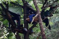 Protest against the expansion of the A49 motorway in a forest near Stadtallendorf