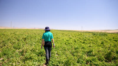 A potato farm in Turkey. In 2023, PepsiCo doubled its global regenerative farming footprint to more than 1.8 million acres.