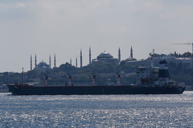 The Sierra Leone-flagged cargo ship Razoni sails in Istanbul's Bosphorus