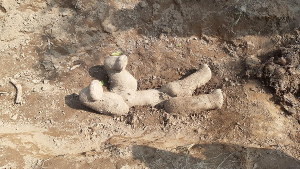 Remains of a baby elephant, with its legs shown above the dirt.