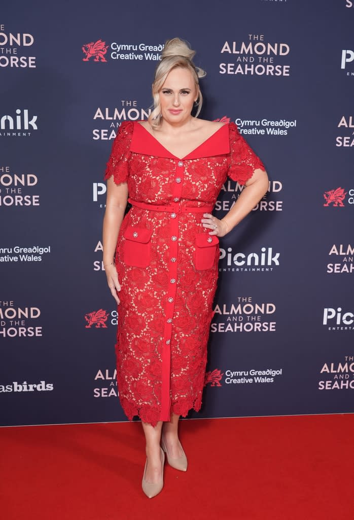 Rebel Wilson, Big Pic