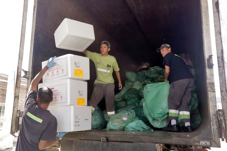 Integrantes de la cooperativa Siempre Verde, en VIlla Soldati, en plena tarea