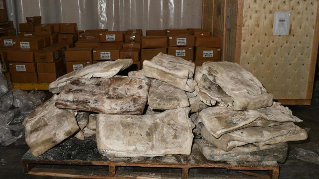 A Mexican national has been jailed for 22 years for his role in an elaborate attempt to import more than 600kg of methamphetamine into Australia, concealed in rotting, raw cow hides. Picture: AFP