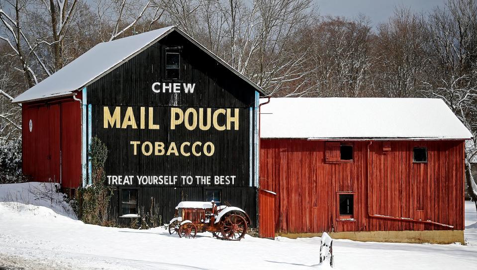 A fresh blanket of snow covers an old tractor and a Mail Pouch Tobacco barn in Freedom Township on Monday.