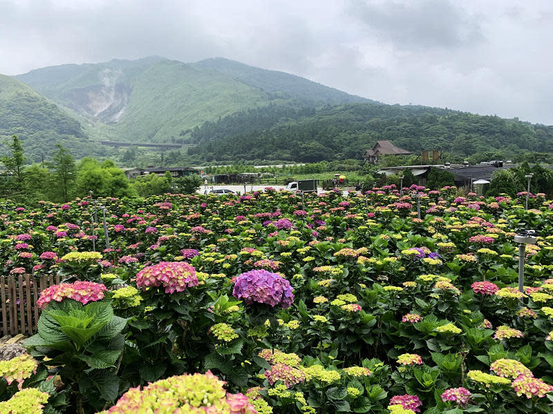 （圖片來源：台北市政府產業發展局）