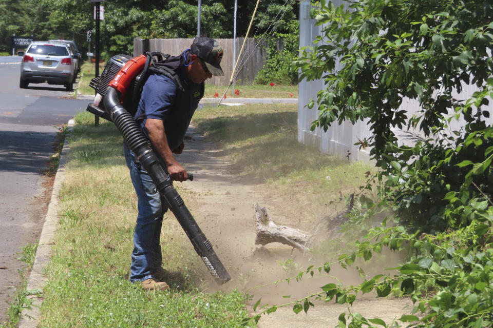 Antonio Espinoza, a supervisor with the Gras Lawn landscaping company, uses a gasoline-powered leaf blower to clean up around a housing development in Brick, N.J. on June 18, 2024. New Jersey is one of many states either considering or already having banned gasoline-powered leaf blowers on environmental and health grounds, but the landscaping industry says the battery-powered devices favored by environmentalists and some governments are costlier and less effective than the ones they currently use. (AP Photo/Wayne Parry)