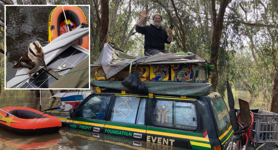 Main image - Mr Freedman on top of his Landcruiser, surrounded by floodwaters. Inset - his kookaburra friend.