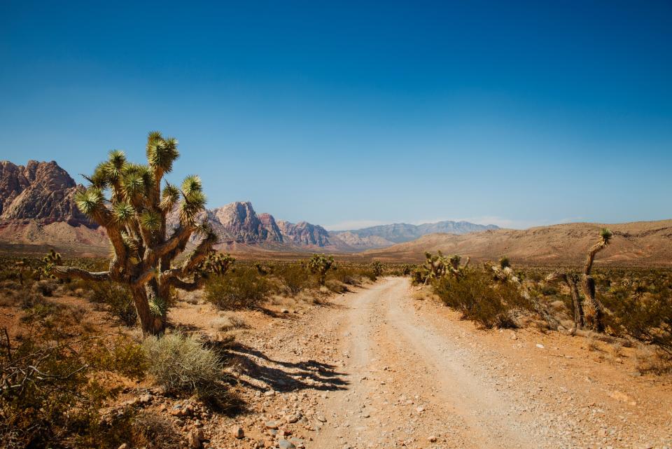 Red Rock Canyon, Las Vegas