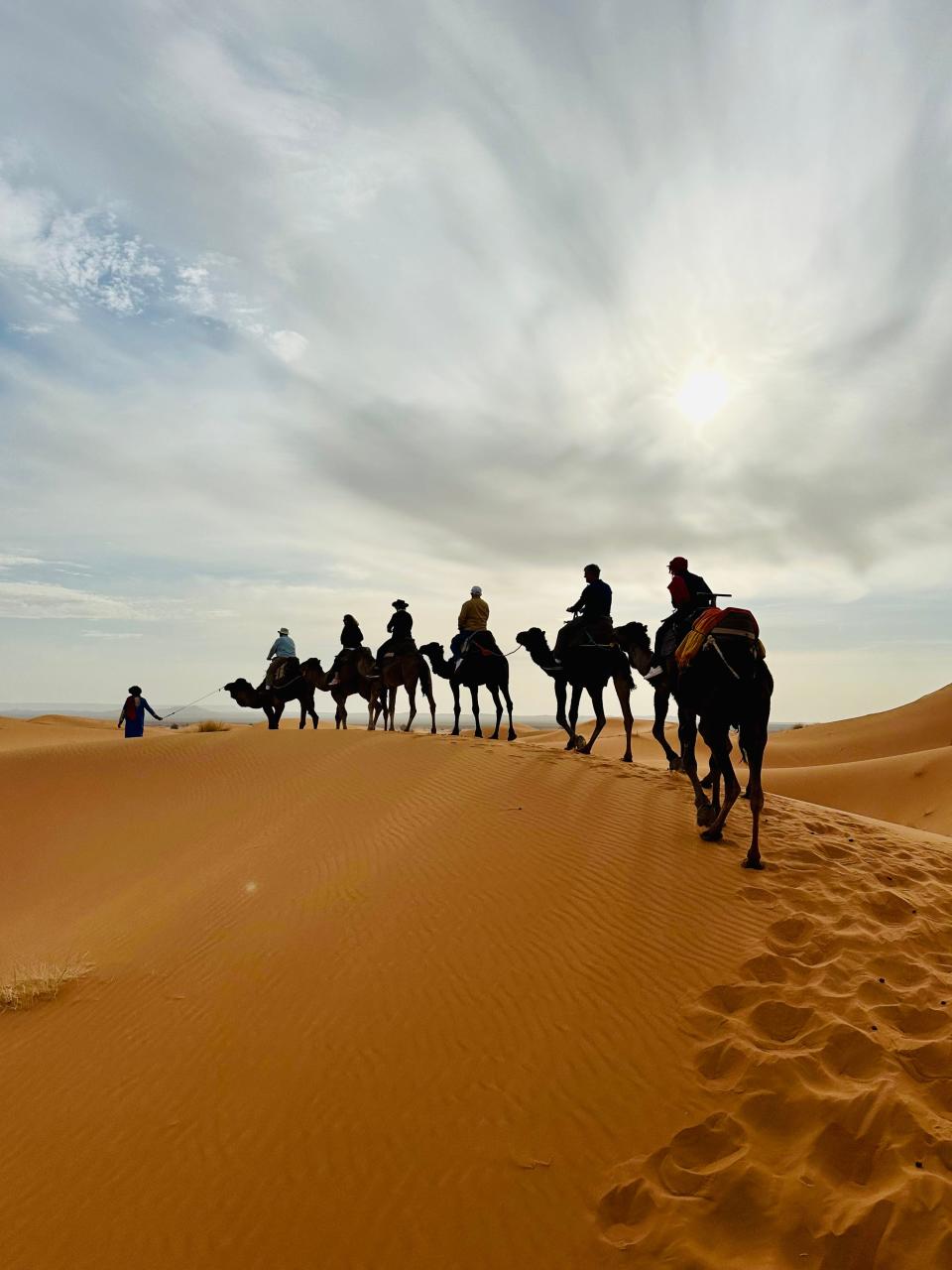 Reporter Patti Zarling took this photo while atop a camel in the Sahara Desert in Morocco. She went on a tour of Morocco recently, and riding a camel was an experience she won't soon forget.