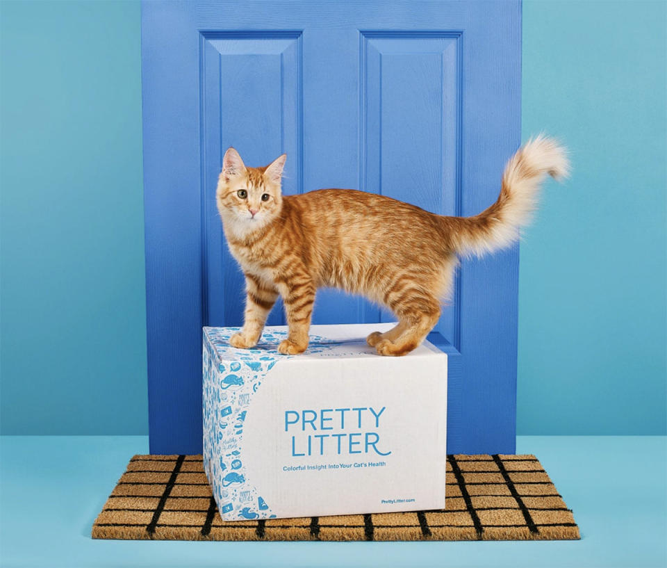 prettylitter-delivery