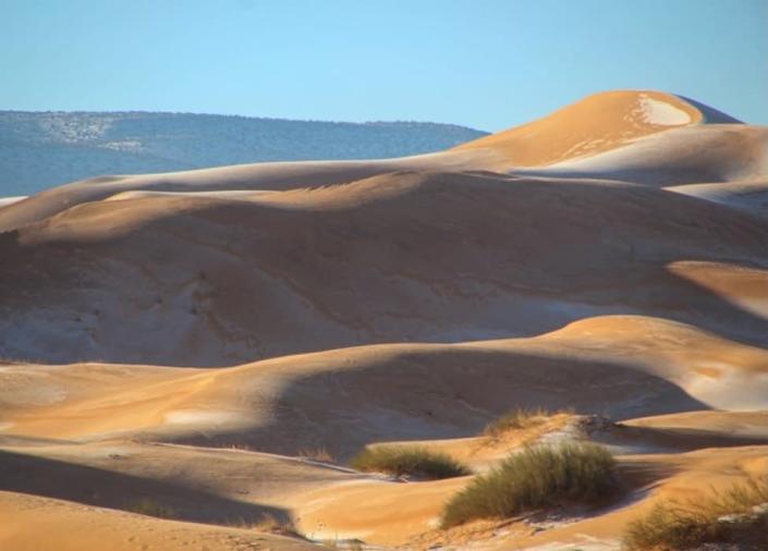 Picture dated January 8th shows a covering of snow and ice in the Sahara Desert near Ain Sefra in northwestern Algeria.