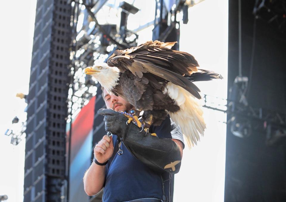A handler readies his American bald eagle for flight at the Heroes Honor Festival at Daytona International Speedway in Daytona Beach on Saturday, May 28, 2022.