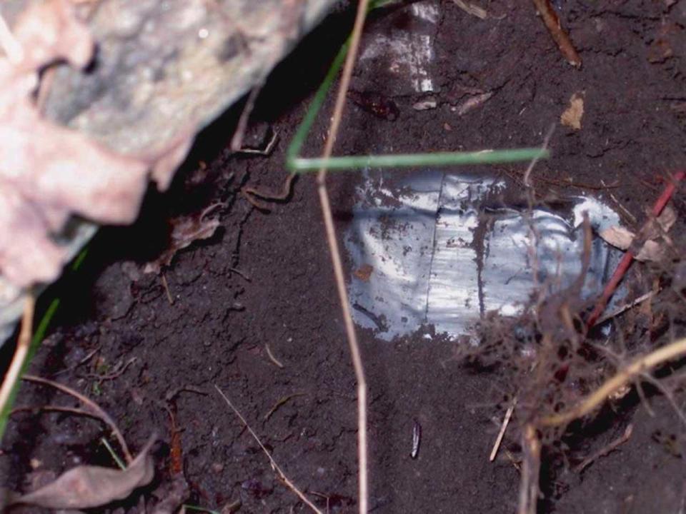 At  a rest stop in Wurtsboro, New York, the FBI located bundles of cash, seen here wrapped in silver duct tape, buried in a dead drop. / Credit: FBI