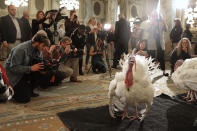 <p>Drumstick and Wishbone, the National Thanksgiving Turkey and its alternate “wingman,” are introduced during an event hosted by The National Turkey Federation at the Williard InterContinental, Nov. 20, 2017 in Washington. (Photo: Chip Somodevilla/Getty Images) </p>