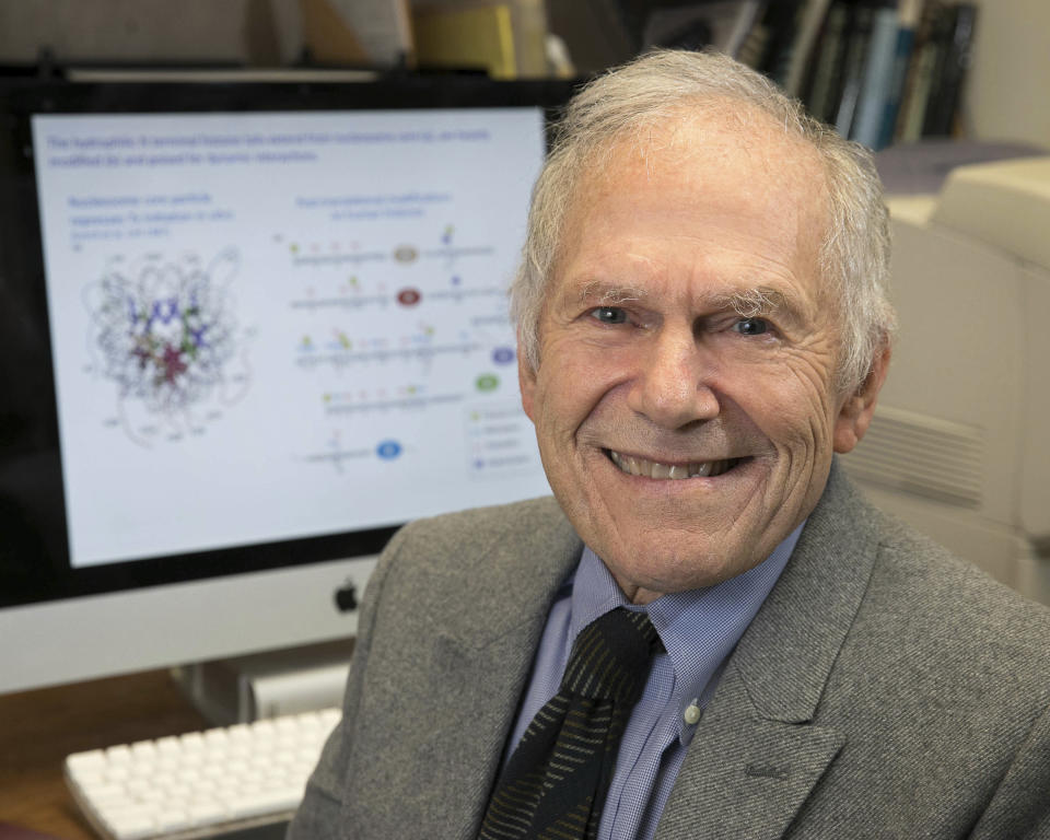 This undated photo provided by the Albert and Mary Lasker Foundation in September 2018 shows Dr. Michael Grunstein in Los Angeles. On Tuesday, Sept. 11, 2018, the Lasker award for basic research went to Grunstein and C. David Allis of Rockefeller University in New York. They “broke open a new field” by revealing “a previously hidden layer of gene control,” the foundation said. (Reed Hutchinson/UCLA/Albert and Mary Lasker Foundation via AP)