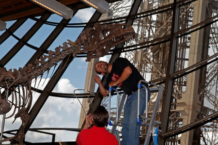 Workers reconstruct a dinosaur fossil at the Eiffel tower, in Paris, France, June 2, 2018 ahead of its auction on Monday. REUTERS/Philippe Wojazer