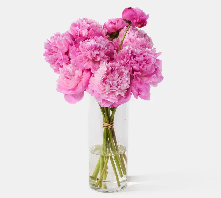 <p><a href="https://go.redirectingat.com?id=74968X1596630&url=https%3A%2F%2Furbanstems.com%2Fproducts%2Fflowers%2Fthe-peony%2FFLRL-B-00117.html&sref=https%3A%2F%2Fwww.harpersbazaar.com%2Ffashion%2Ftrends%2Fg42231910%2Fbest-gifts-for-wife%2F" rel="nofollow noopener" target="_blank" data-ylk="slk:Shop Now;elm:context_link;itc:0;sec:content-canvas" class="link ">Shop Now</a></p><p>The Peony</p><p>urbanstems.com</p><p>$88.00</p><span class="copyright">Urban Stems</span>