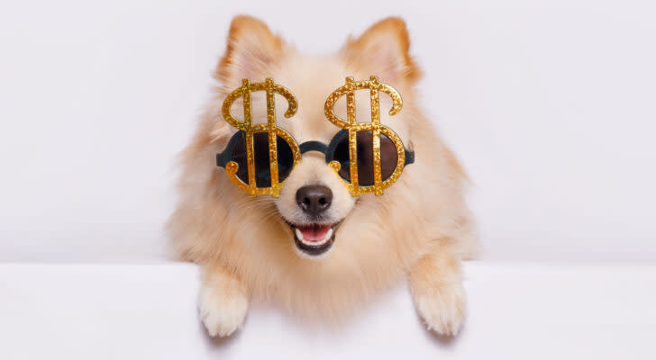 A photo showing a Pomeranian puppy wearing glasses with dollar signs on a light background.