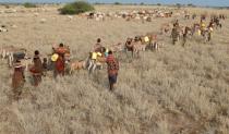 The Wider Image: When raiders menace in northern Kenya, grab your guns