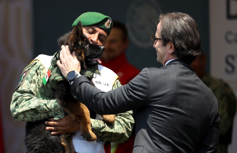 German Shepherd puppy named 'Arkadas' donated by the Turkey government