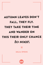 <p>Autumn leaves don’t fall, they fly. They take their time and wander on this their only chance to soar.</p>