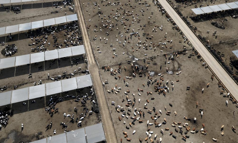 <span>Photograph: Lucy Nicholson/Reuters</span>