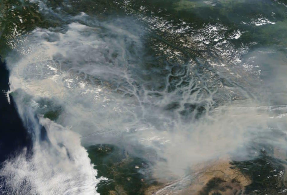 2018 was B.C.'s worst wildfire season — 1.35 million hectares burned