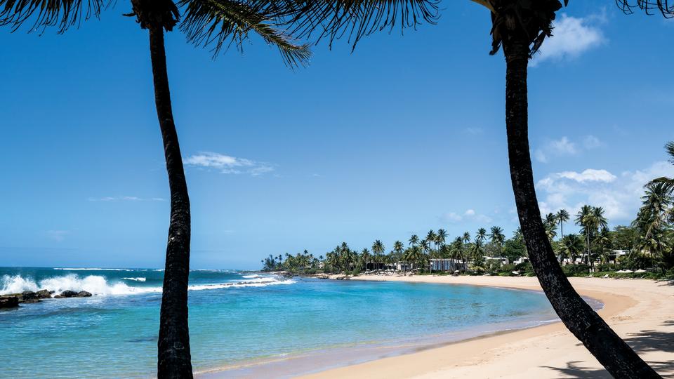 The beach at the Ritz Carlton Reserve Dorado Beach 