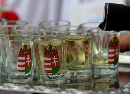 A man fills up glasses with 'palinka', a Hungarian fruit brandy, during the International Wheat Harvest Festival in Opalyi, eastern Hungary July 13, 2013. REUTERS/Laszlo Balogh