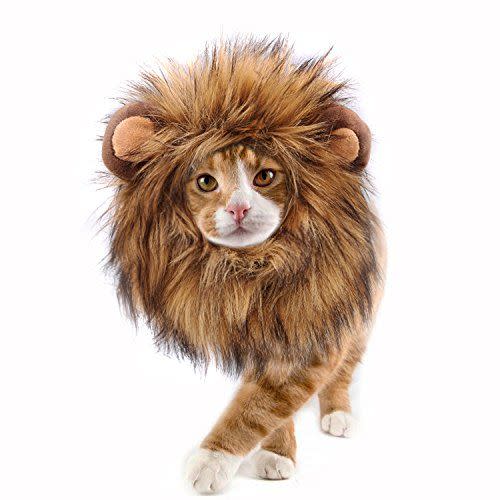 5) Lion Mane Wig