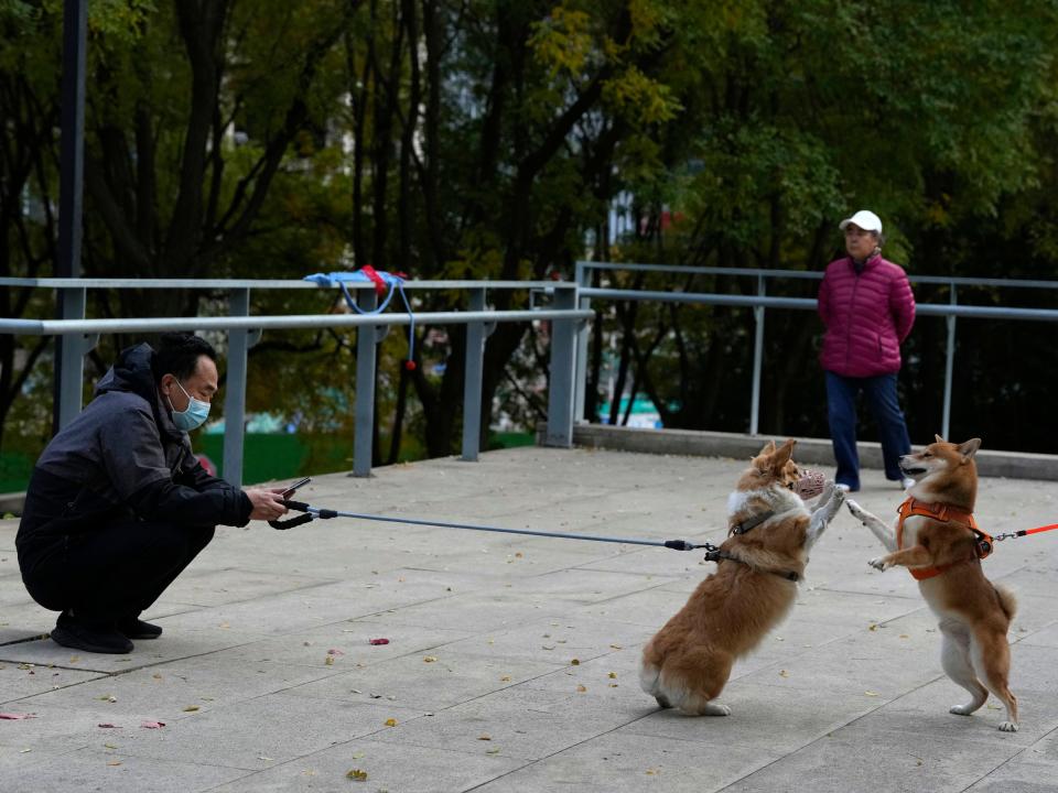 A man with his dog on a leash.