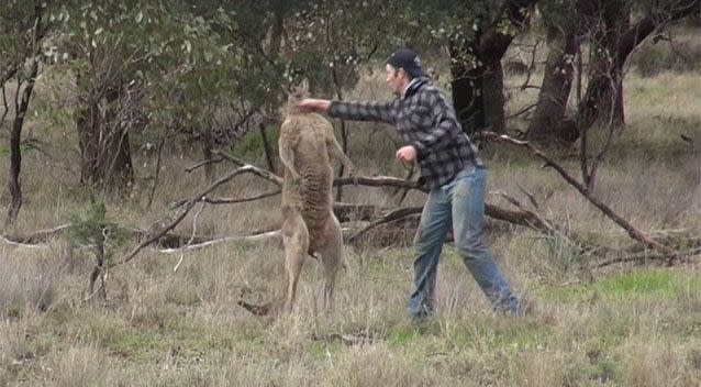 The video has gone viral, and Mr Tonkins is under investigation from his employer. Photo: Greg Bloom