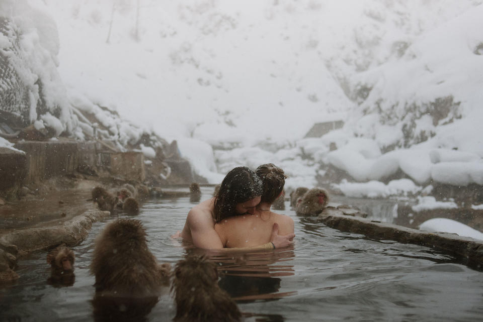 Jigokudani Monkey Park, Nagano, Japan