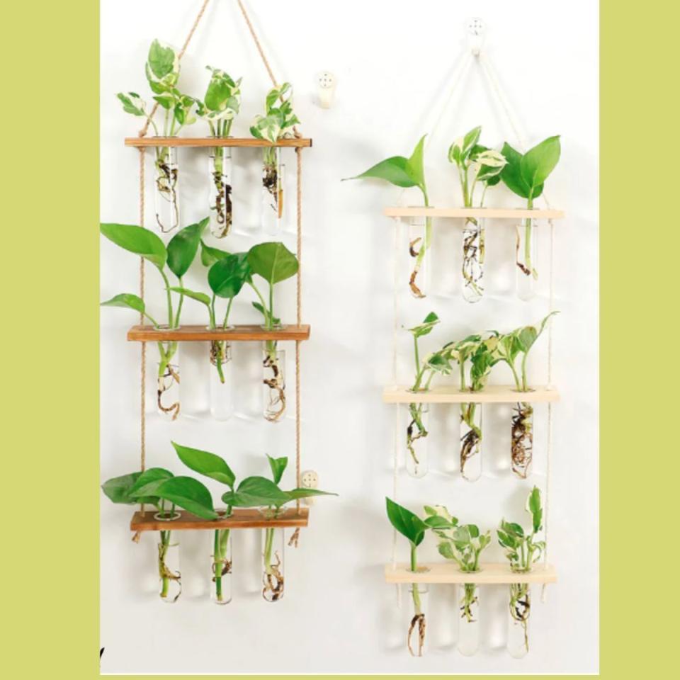 At this point I've run out of space to house all my mini mason jars filled with spare plant clippings, so if there's one thing at the top of my Christmas list, it's this propagation ladder. Outfitted with nine removable test tube vases, this wooden ladder can easily be hung on a wall or in front of the window, the perfect environment for clippings to start rooting and become ready for planting.You can buy a hanging propagation ladder from Etsy for around $32.