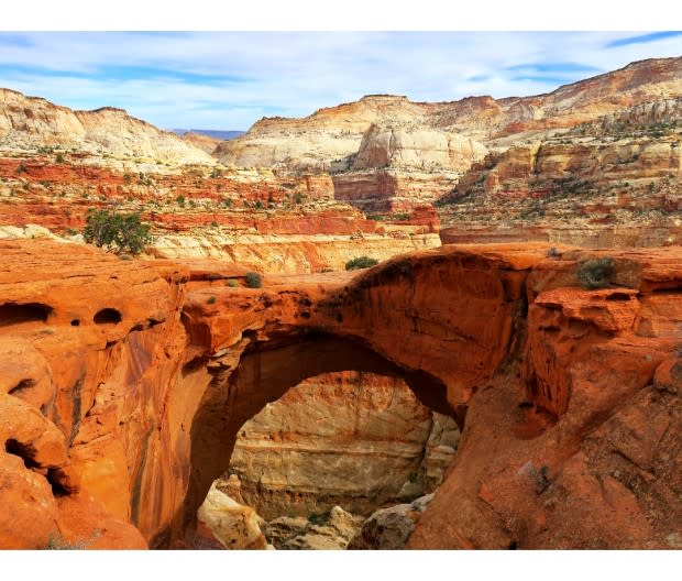 <em>A short hike to Cassidy Arch rewards visitors with an epic bridge crossing and panoramic photo ops of the park's vast Grand Wash below. </em><p>dkm725</p>
