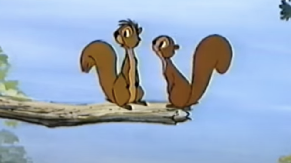 two squirrels on a branch