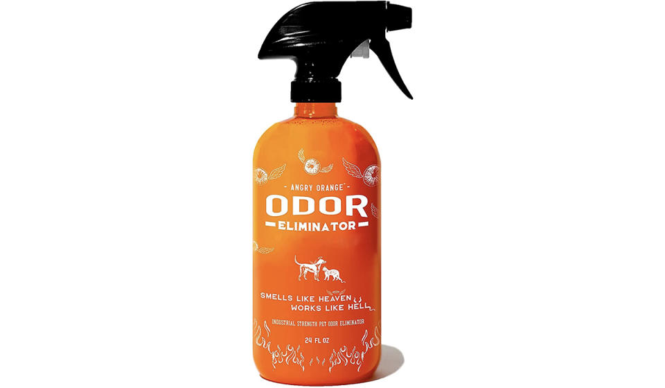 No more gnarly wet dog smells. (Photo: Amazon)