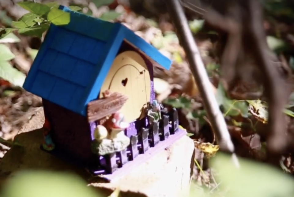 Handmade fairy homes are tucked into downed trees, branches and other nooks and crannies of the forest. / Credit: CBS News