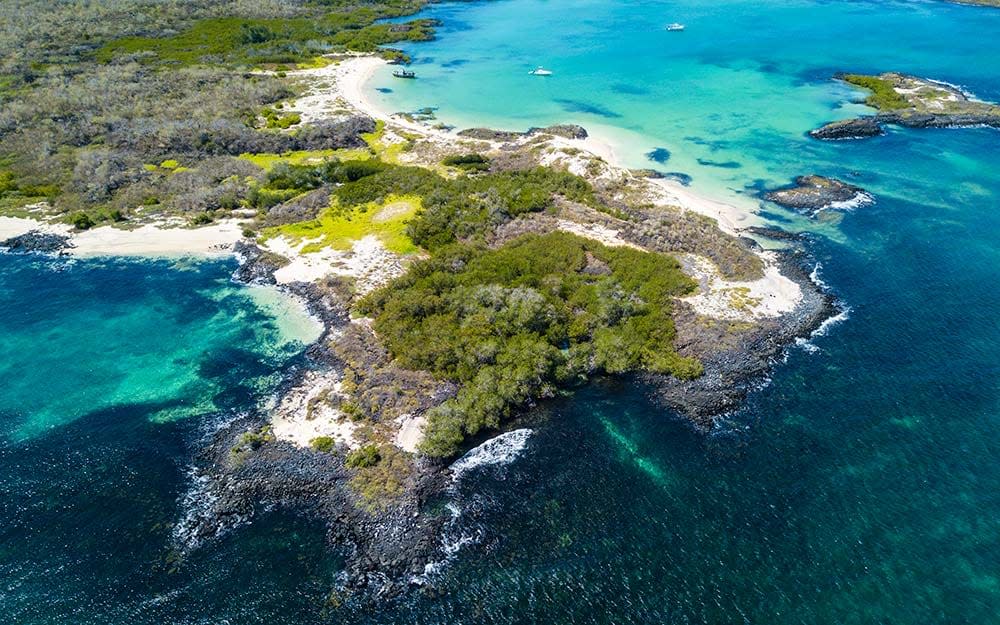 Travellers returning to the Galapagos Islands will find wildlife thriving - ISTOCK