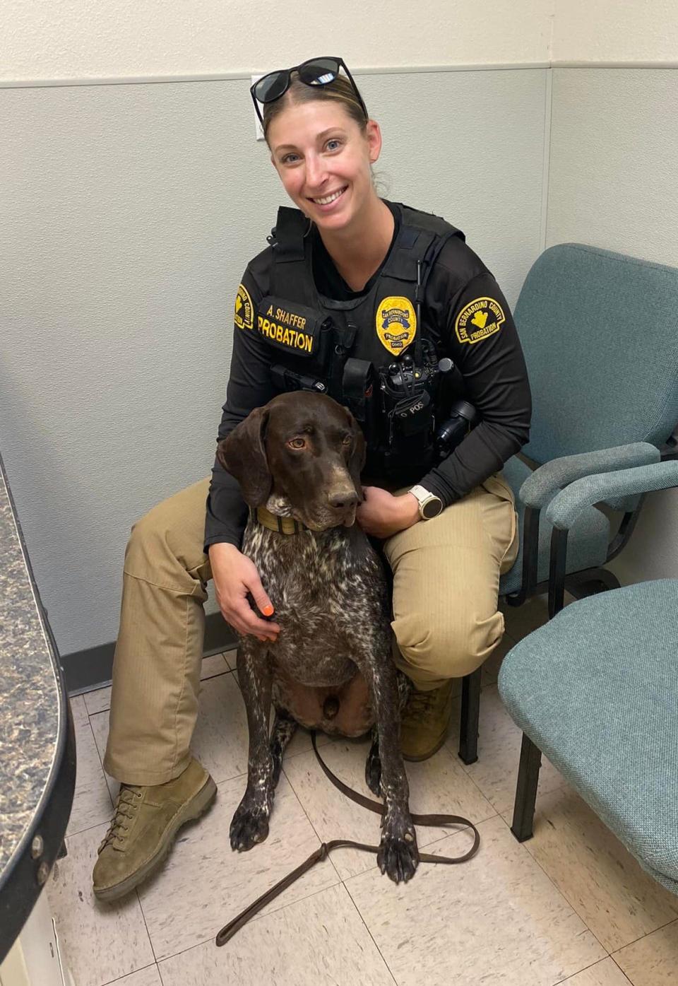 San Bernardino County Probation Officer Shaffer and Narcotics Detection K9 Officer Bane. Officer Shaffer participated in a K9 protocol to give Narcan to her K9 partner in case of exposure.