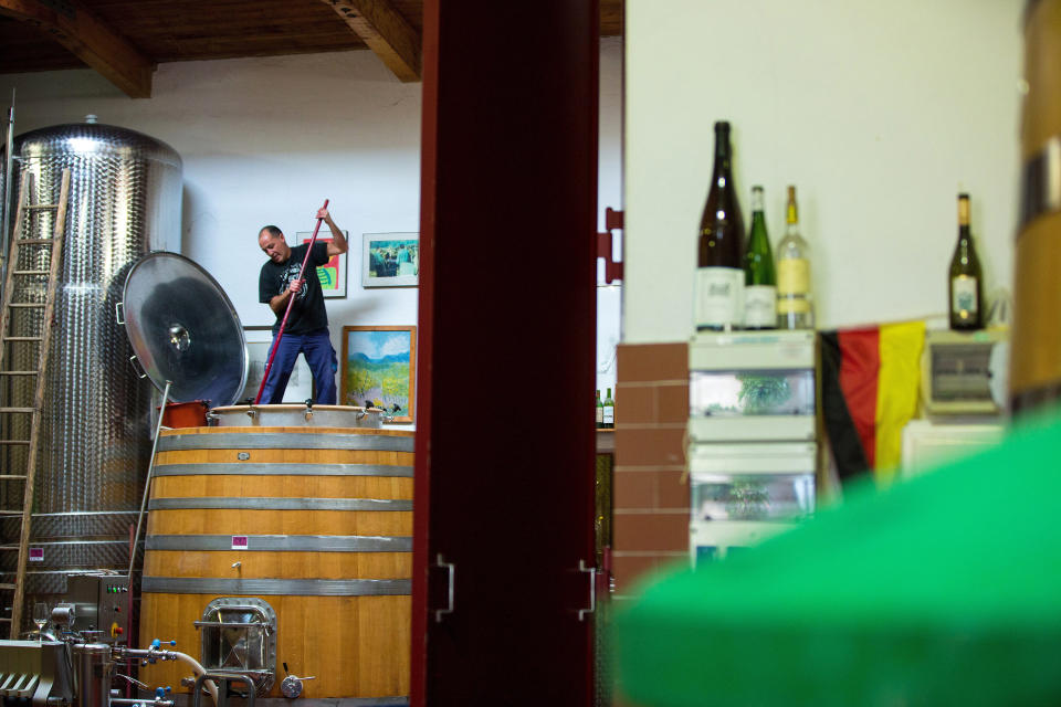 A vintner mixes the&nbsp;pinot noir grapes in a fermentation tank.