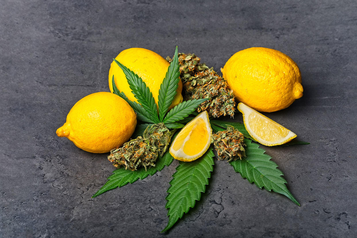 Cannabis buds and leaves with lemon Getty Images/Gleti