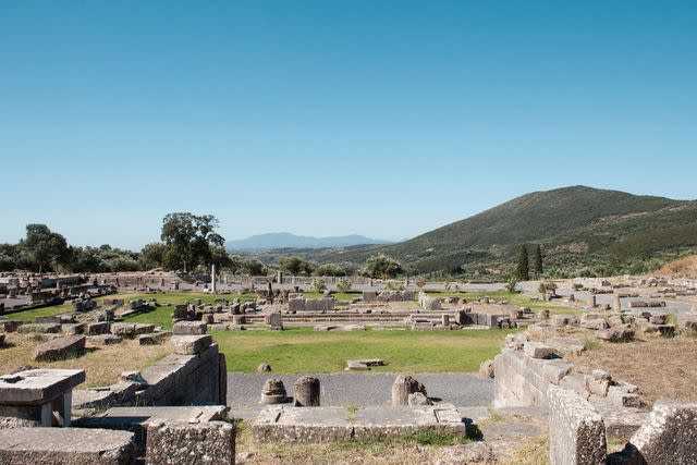 <p>Margarita Nikitaki</p> The ruins of Ancient Messene's site that, until the 1980s, was covered over by farmland.