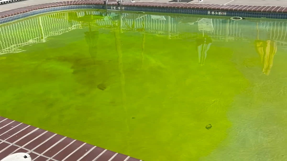 The motivation behind the man dropping dye into swimming pools via drone is still unknown (ABC 7)